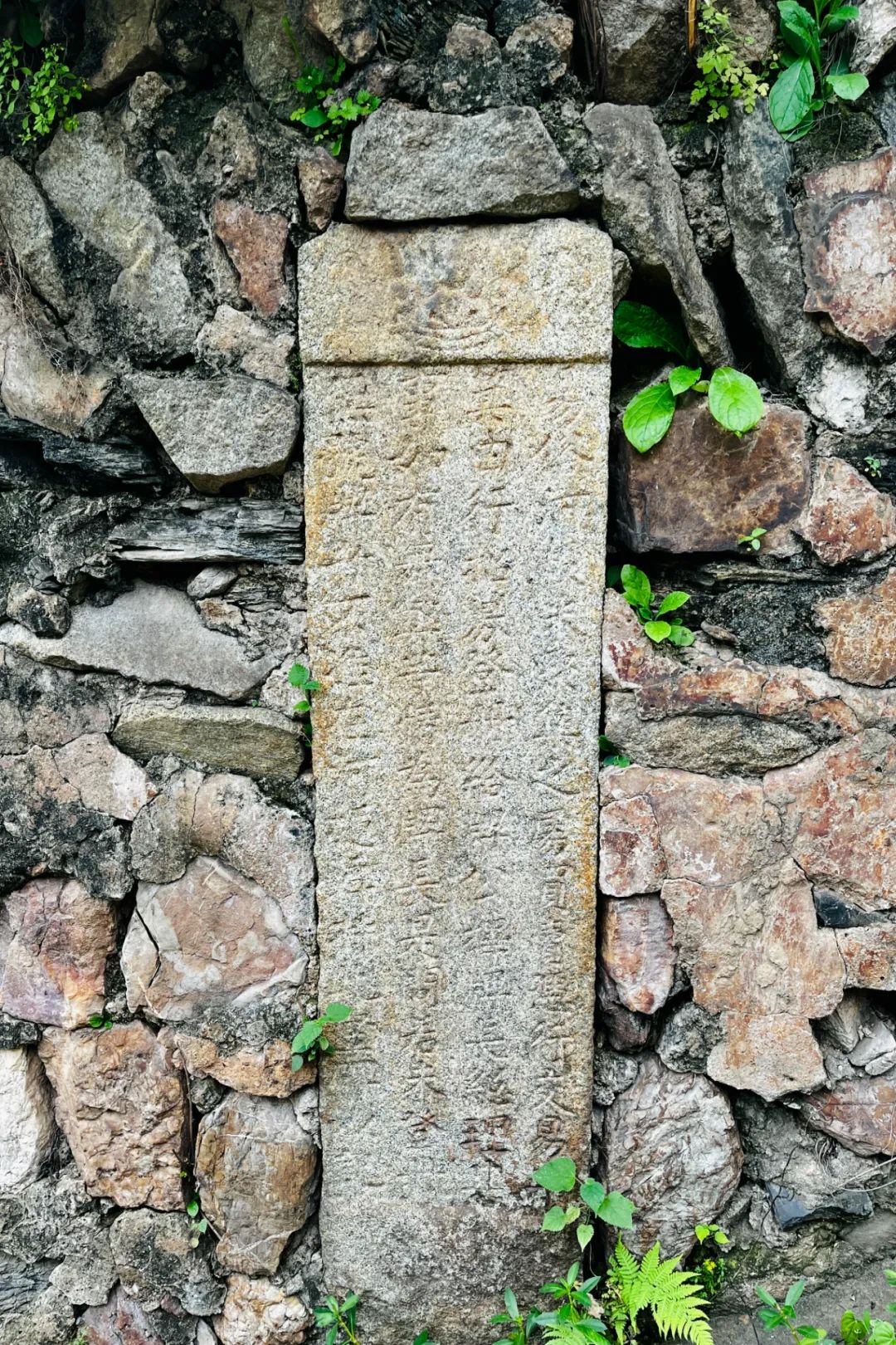 DƬ